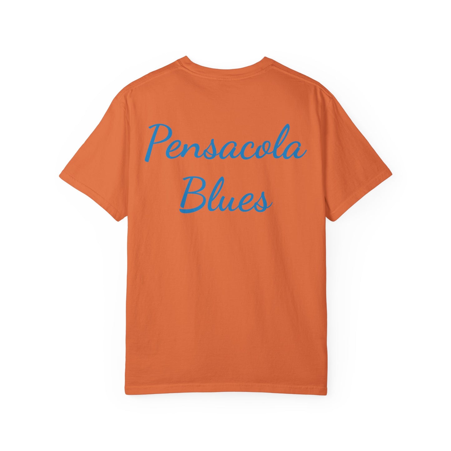 Pensacola Blues featuring Fat Albert leading Blue Angels Beach Buzz - PBP11