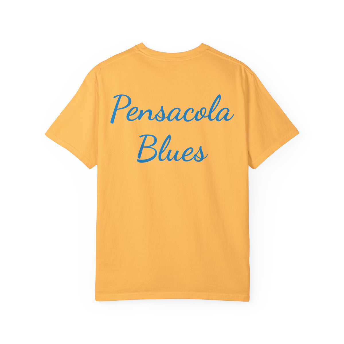 Pensacola Blues featuring Fat Albert leading Blue Angels Beach Buzz - PBP11