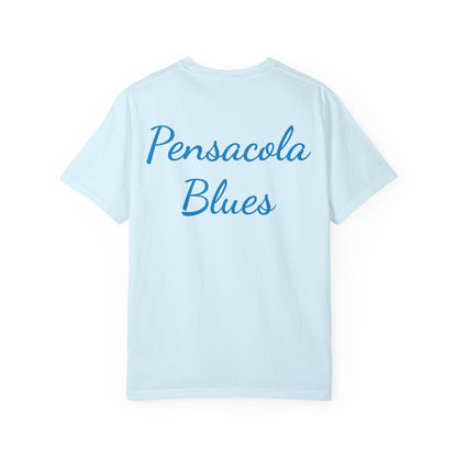 Pensacola Blues featuring Fat Albert leading Blue Angels Beach Buzz - PBP11