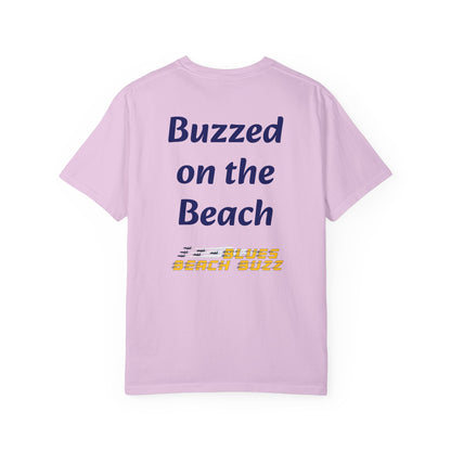 Pensacola Blues Beach Buzz featuring Blue Angels Approaching the Pensacola Beach Pier Beach Buzz - PBB04