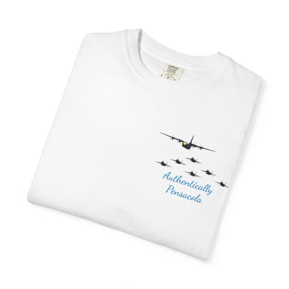 Pensacola Blues featuring Fat Albert leading Blue Angels Beach Buzz - PBP11