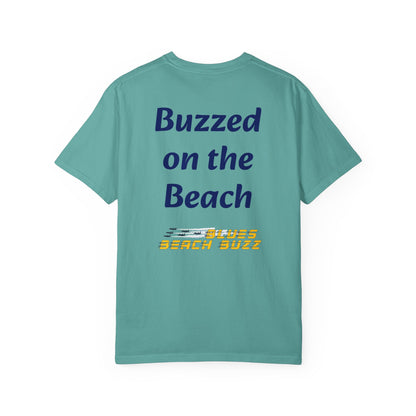 Pensacola Blues Beach Buzz featuring Blue Angels Approaching the Pensacola Beach Pier Beach Buzz - PBB04