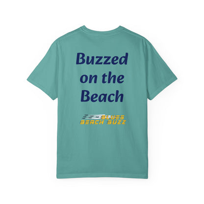 Pensacola Blues Beach Buzz featuring Blue Angels Approaching the Pensacola Beach Pier Beach Buzz - PBB04