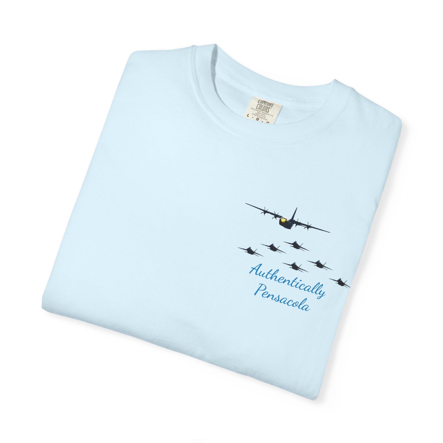 Pensacola Blues featuring Fat Albert leading Blue Angels Beach Buzz - PBP11