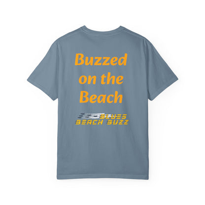 Pensacola Blues Beach Buzz featuring Blue Angels Beach Buzz crossing the Pensacola Beach Pier  - PBB02