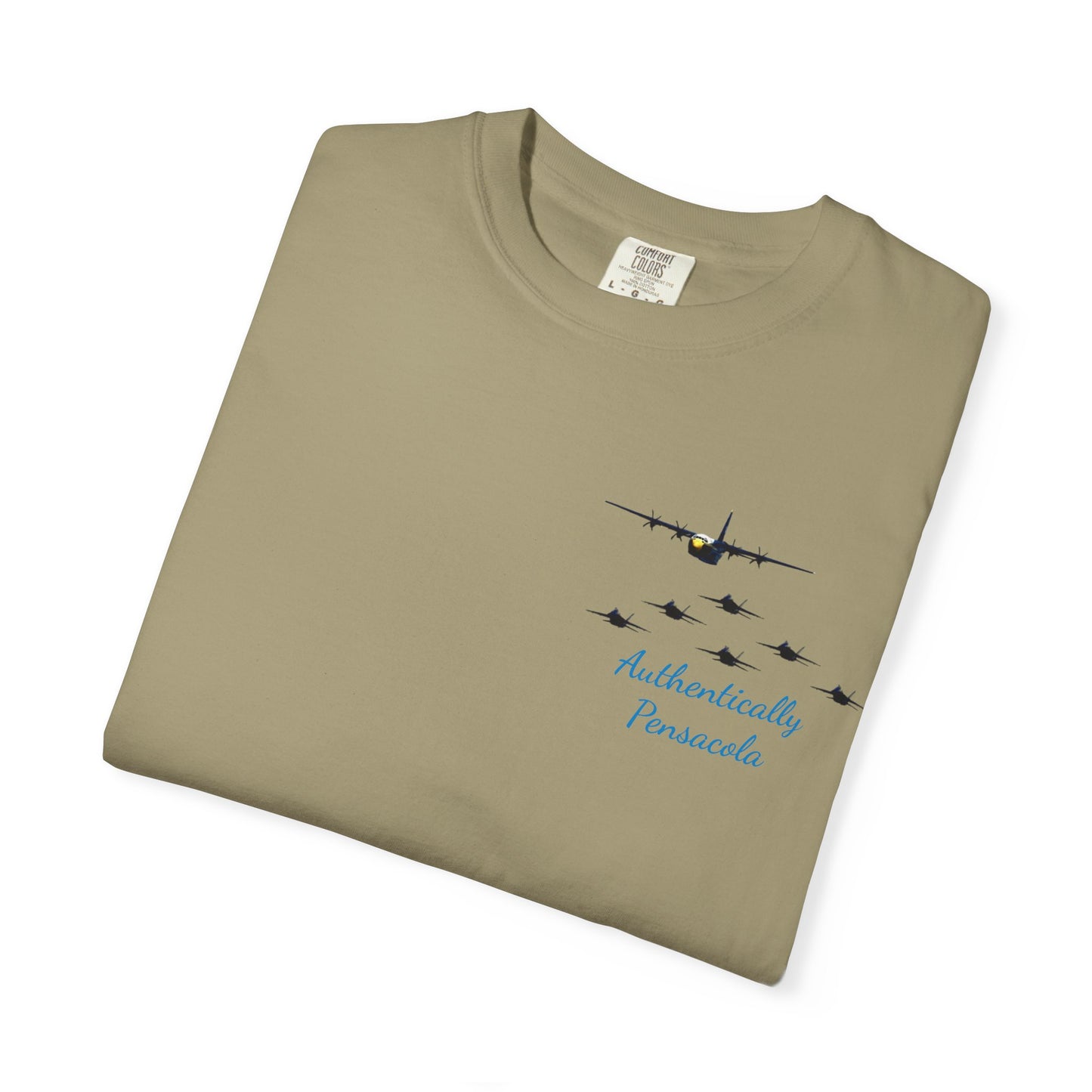 Pensacola Blues featuring Fat Albert leading Blue Angels Beach Buzz - PBP11