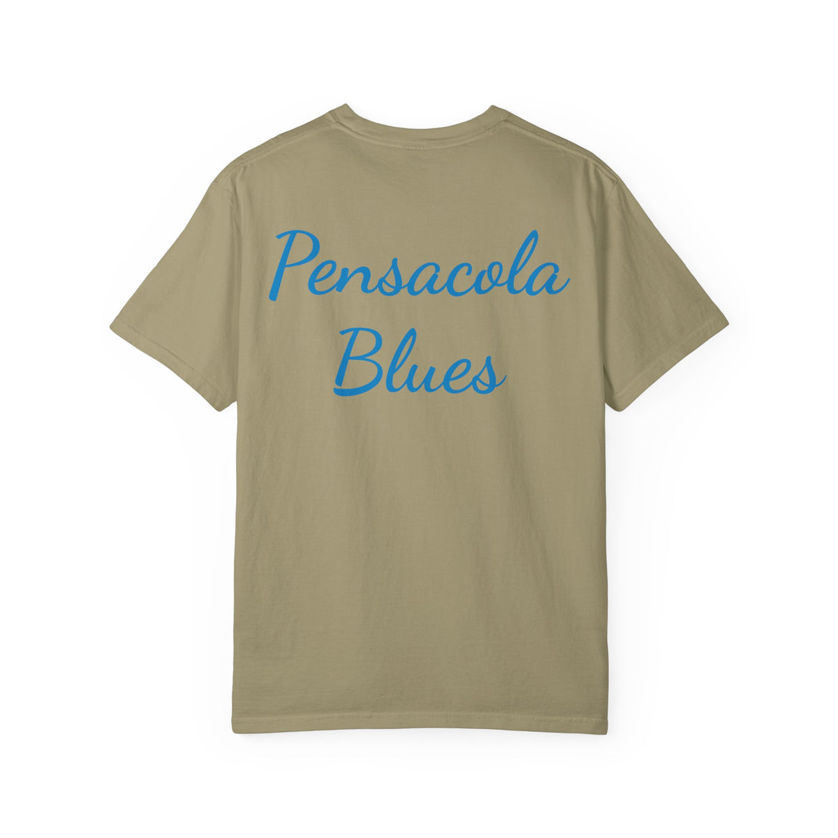 Pensacola Blues featuring Fat Albert leading Blue Angels Beach Buzz - PBP11