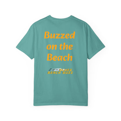 Pensacola Blues Beach Buzz featuring Blue Angels Beach Buzz crossing the Pensacola Beach Pier  - PBB02