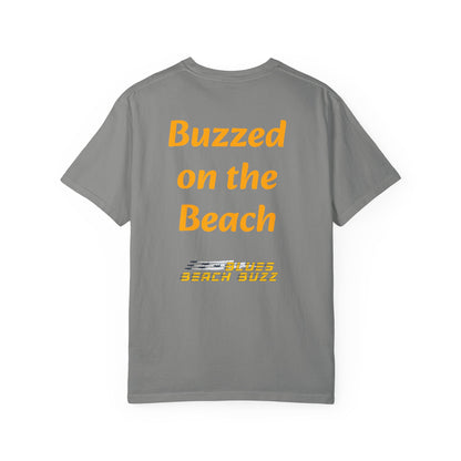 Pensacola Blues Beach Buzz featuring Blue Angels Beach Buzz crossing the Pensacola Beach Pier  - PBB02