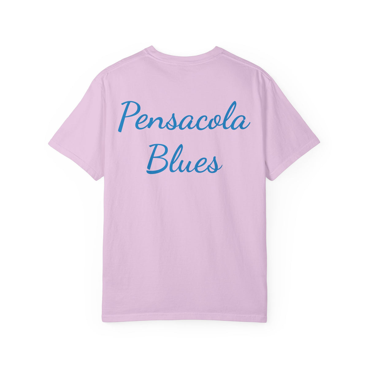 Pensacola Blues featuring Fat Albert leading Blue Angels Beach Buzz - PBP11