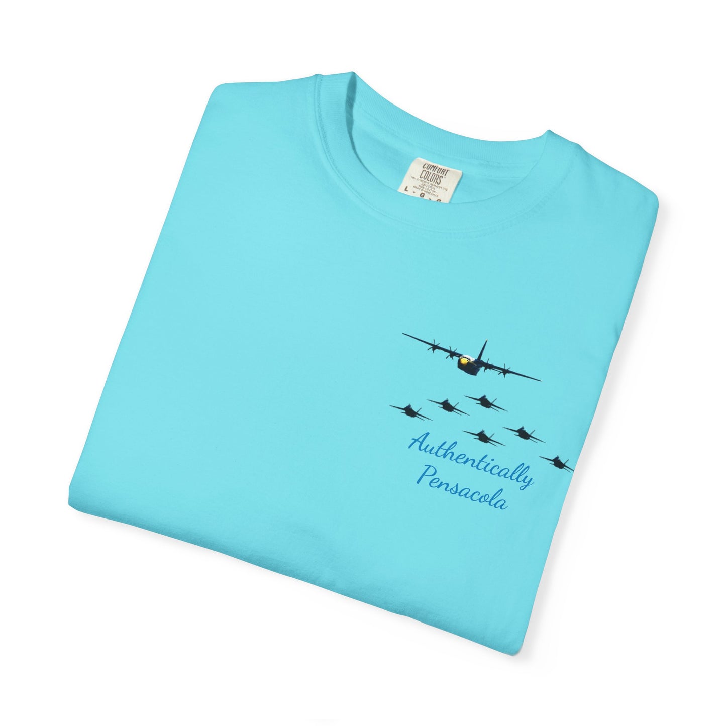 Pensacola Blues featuring Fat Albert leading Blue Angels Beach Buzz - PBP11
