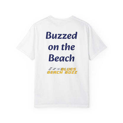 Pensacola Blues Beach Buzz featuring Blue Angels Approaching the Pensacola Beach Pier Beach Buzz - PBB04